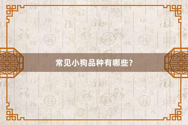 常见小狗品种有哪些？